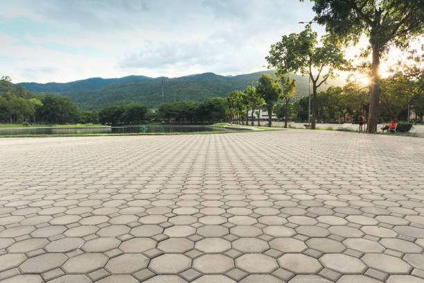 Best Concrete Paver Driveway  in Poynette, WI